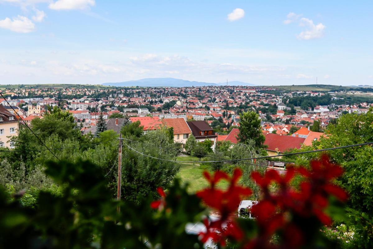 Pajdos Vendégház Eger Exterior foto